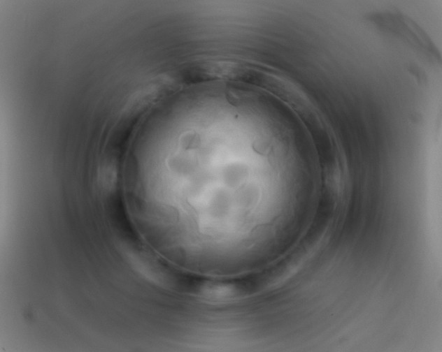 X0000114700602200910211253