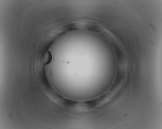 X0000114700603200910211253