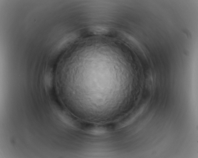 X0000114700604200910211253