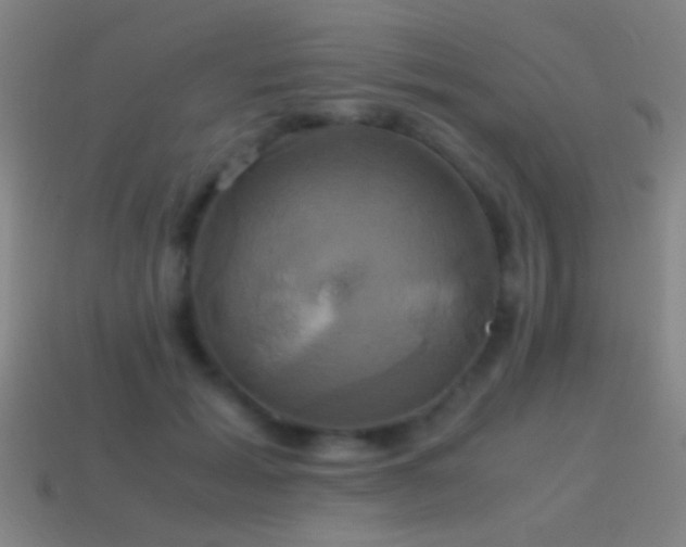 X0000114700605200910211253