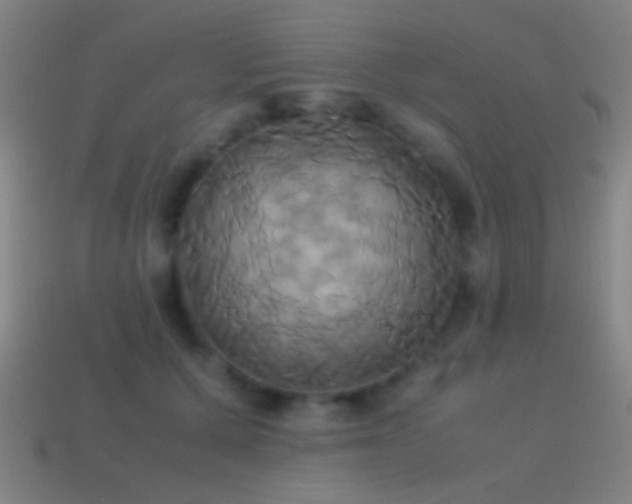 X0000114700607200910211253