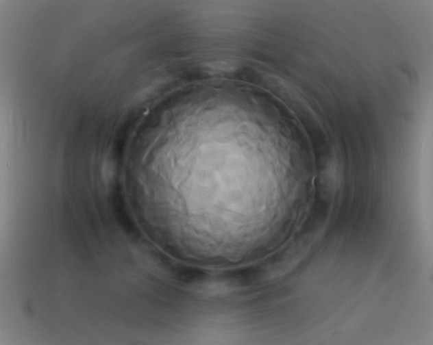 X0000114700608200910211253