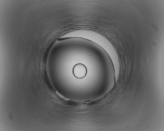 X0000114700609200910211253