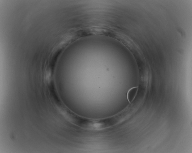 X0000114700610200910211253