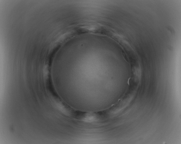 X0000114700612200910211253