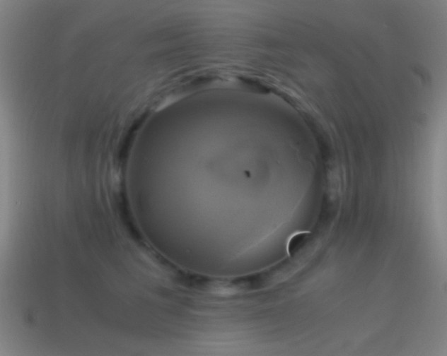 X0000114700613200910211253