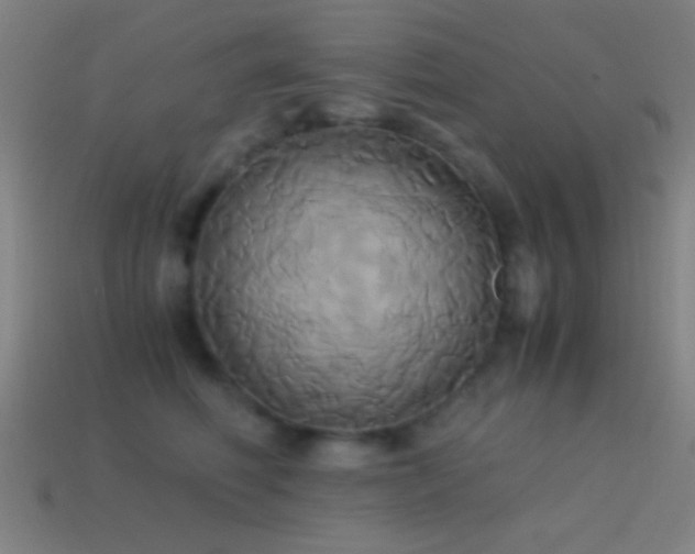 X0000114700614200910211253