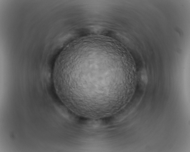 X0000114700615200910211253