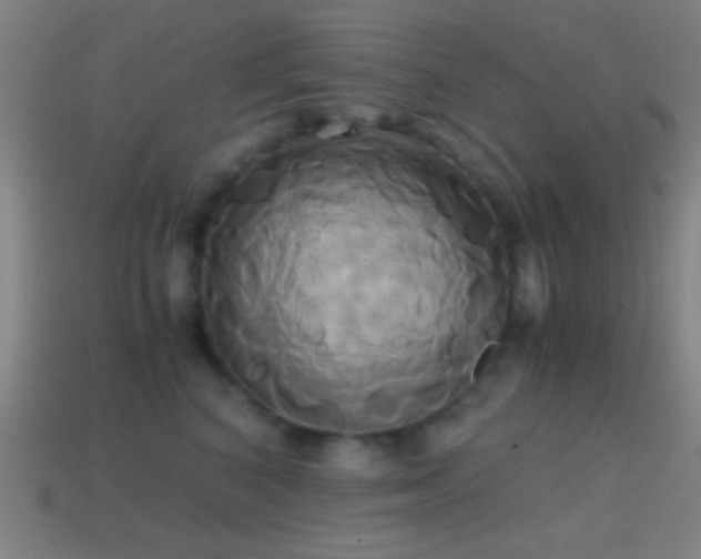 X0000114700616200910211253