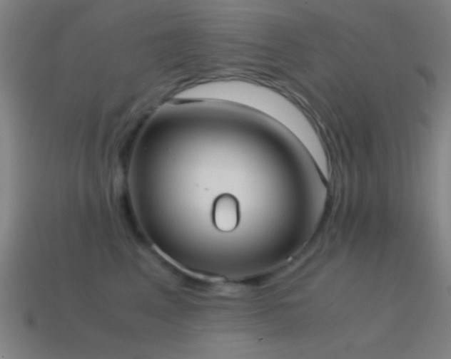 X0000114700617200910211253