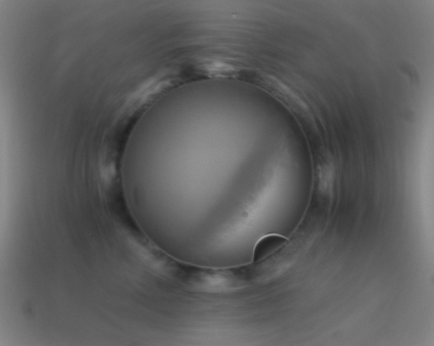 X0000114700618200910211253