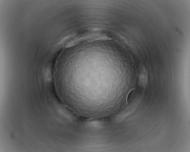 X0000114700620200910211253