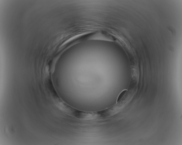 X0000114700621200910211253