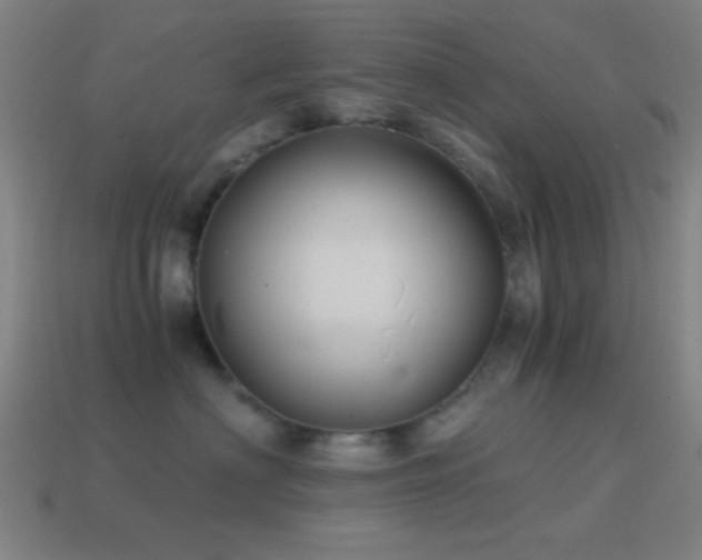 X0000114700622200910211253