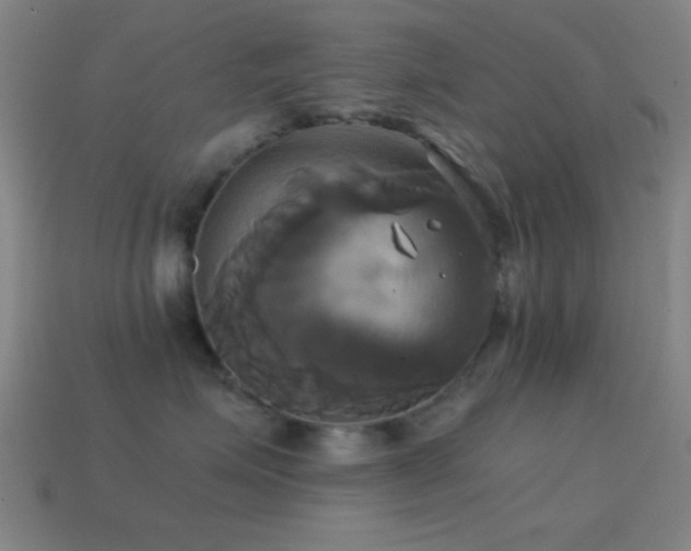 X0000114700623200910211253