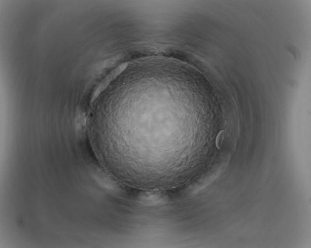 X0000114700624200910211253