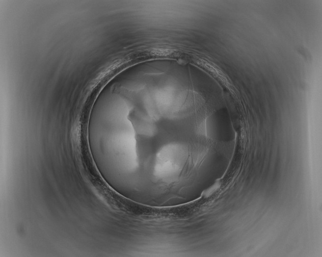 X0000114700626200910211252