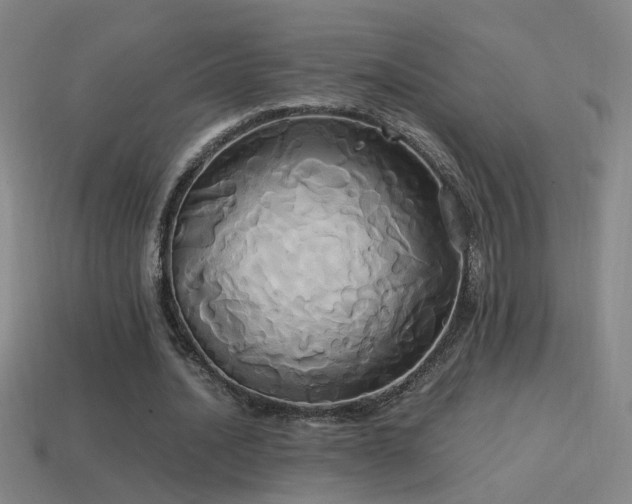 X0000114700628200910211252