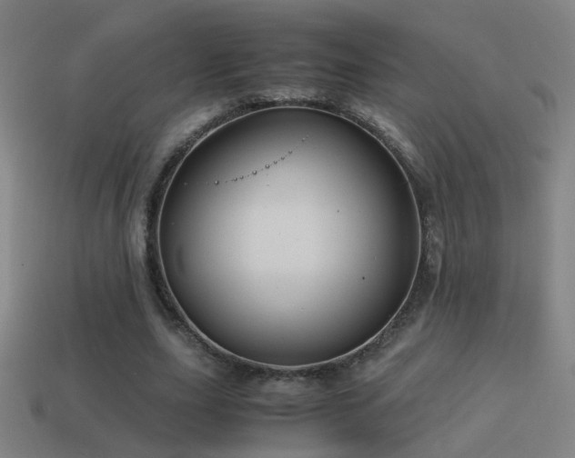 X0000114700631200910211252