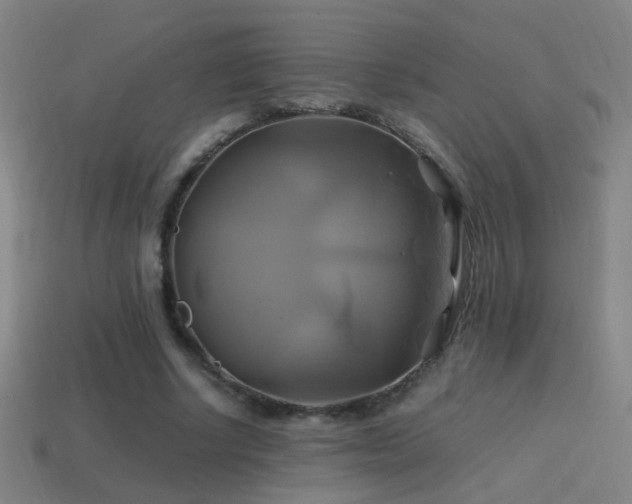 X0000114700634200910211252