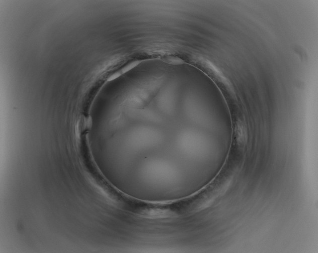 X0000114700637200910211252