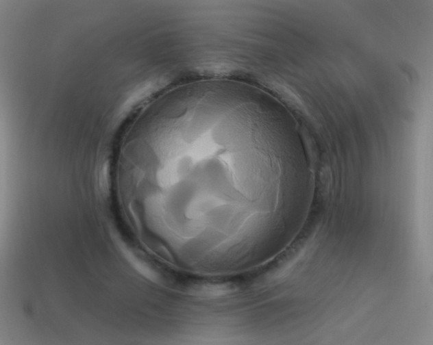 X0000114700638200910211252