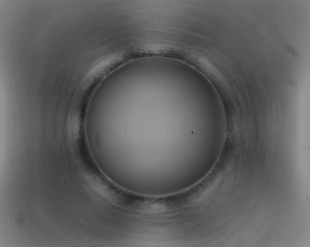 X0000114700640200910211252