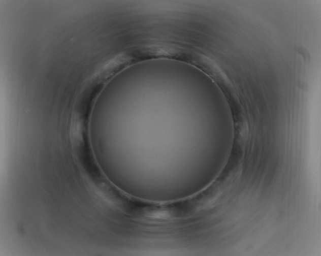 X0000114700643200910211253