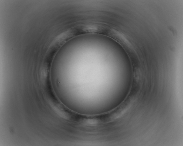 X0000114700645200910211253