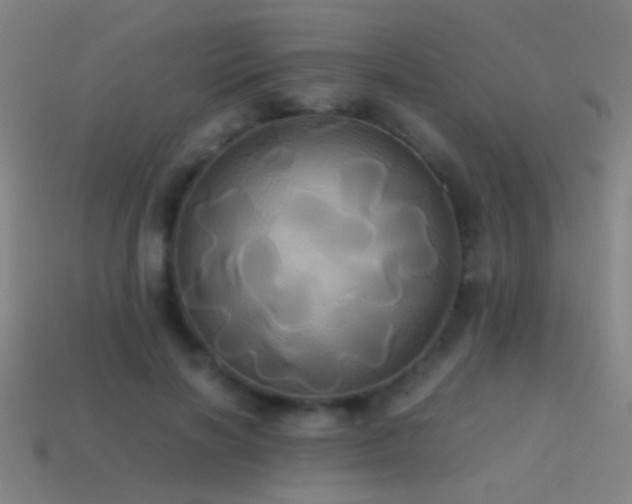 X0000114700646200910211253