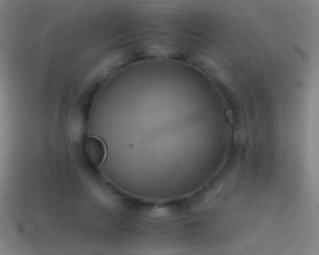 X0000114700647200910211253