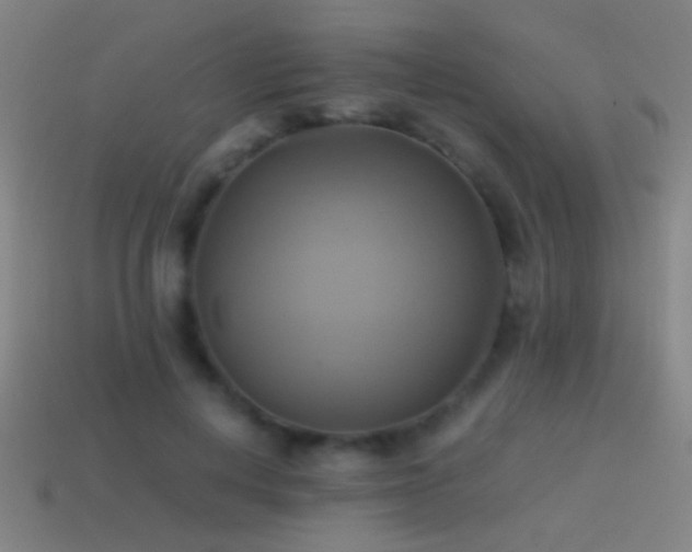 X0000114700648200910211253