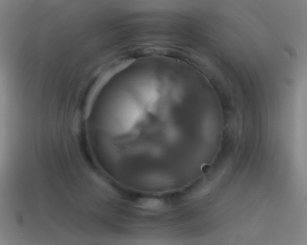 X0000114700649200910211253