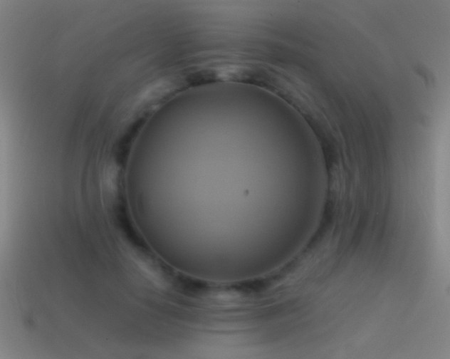 X0000114700650200910211253