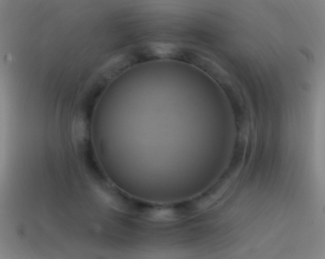 X0000114700651200910211253