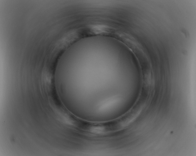 X0000114700653200910211253