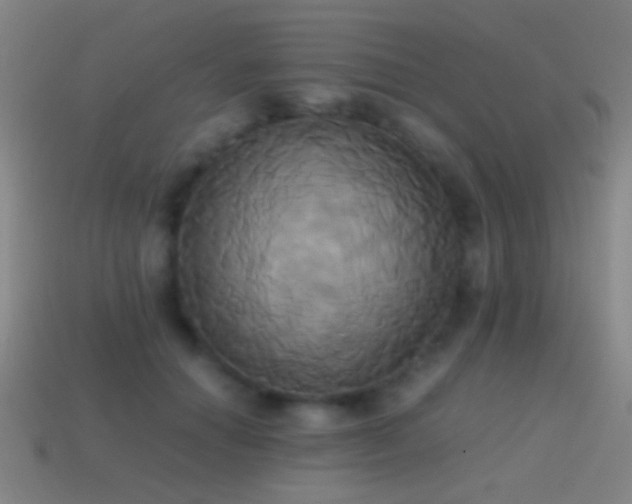 X0000114700654200910211253