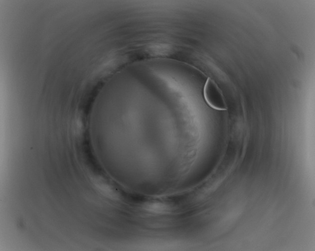 X0000114700655200910211253