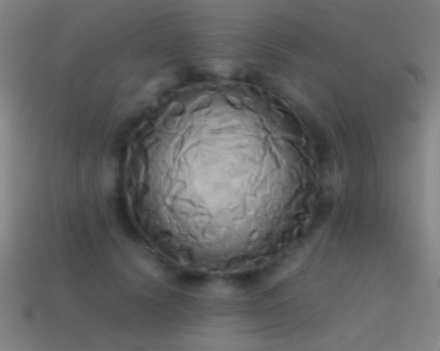 X0000114700656200910211253