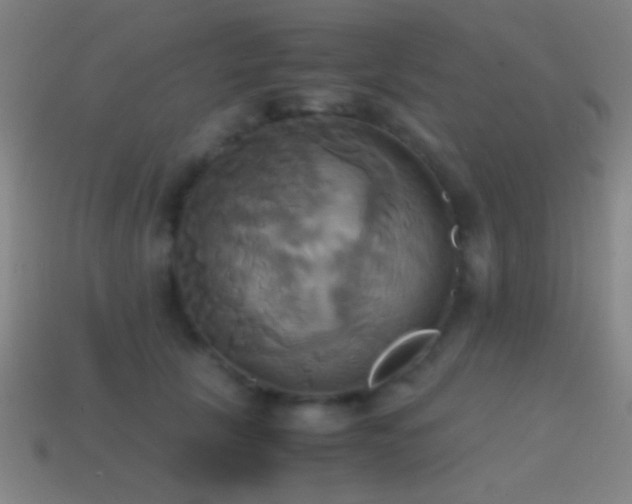 X0000114700657200910211253