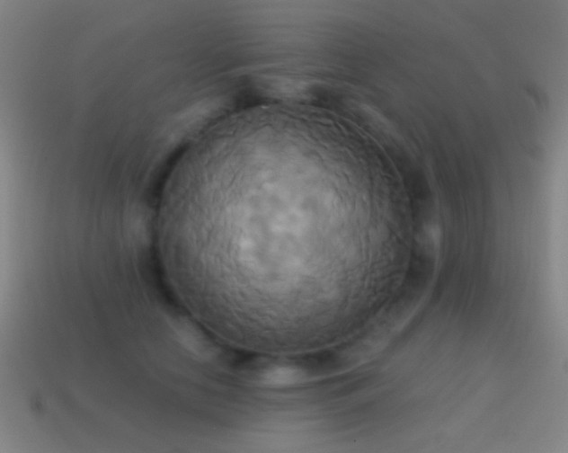 X0000114700658200910211253