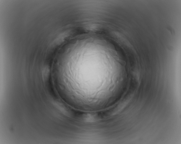 X0000114700660200910211253