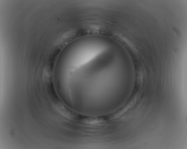 X0000114700661200910211253