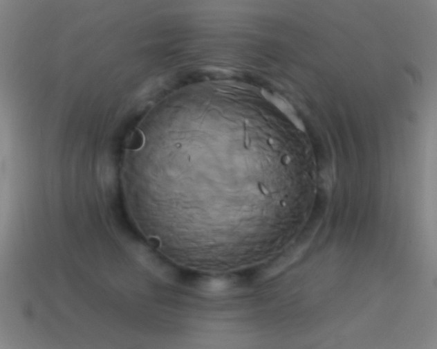 X0000114700662200910211253