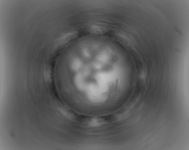 X0000114700663200910211253