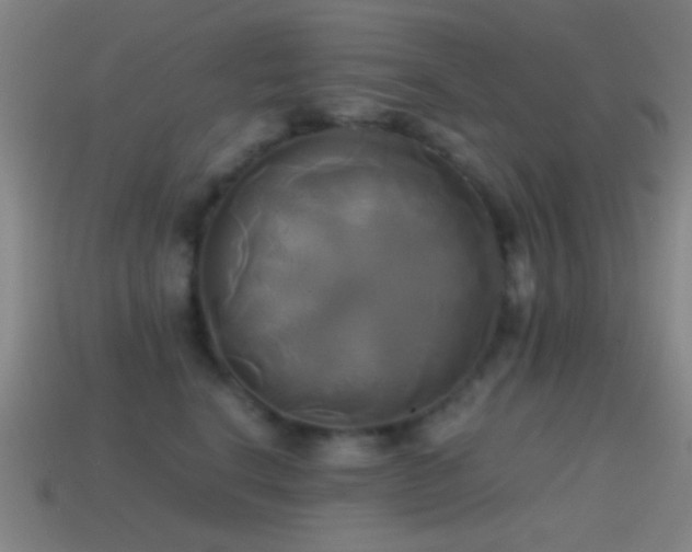 X0000114700664200910211253