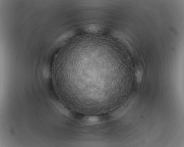 X0000114700665200910211253