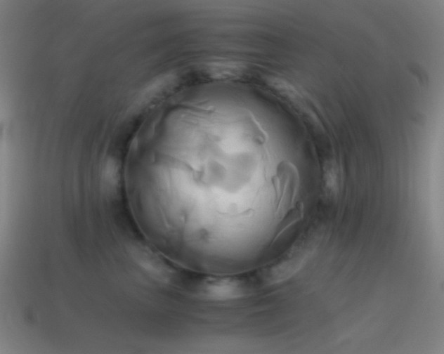 X0000114700667200910211253