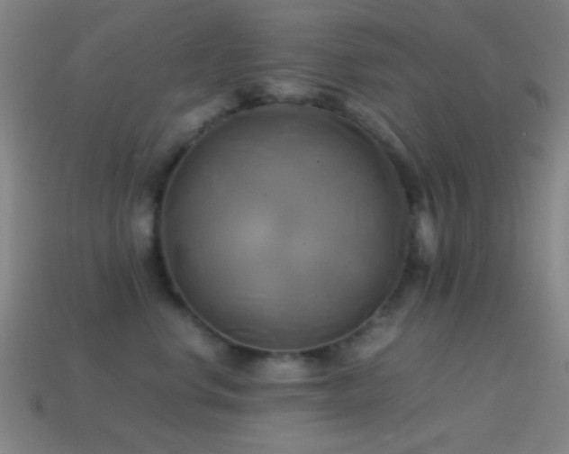 X0000114700668200910211253