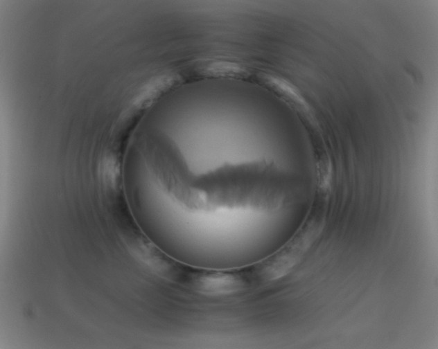 X0000114700669200910211253